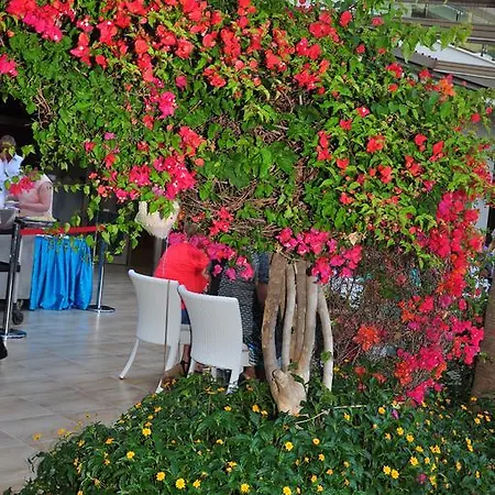 Ośrodek wypoczynkowy Port 5*